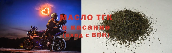 гидра Вязьма