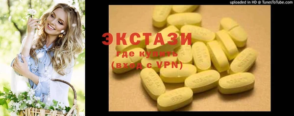 гидра Вязьма