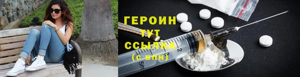 гидра Вязьма