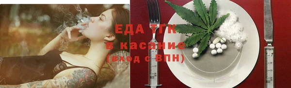 гидра Вязьма