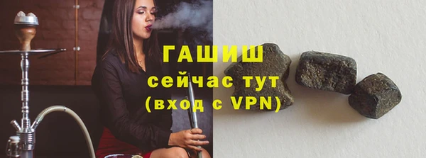 гидра Вязьма