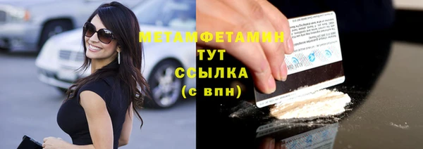 гидра Вязьма