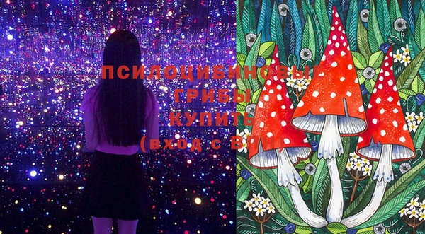 гашиш Вяземский