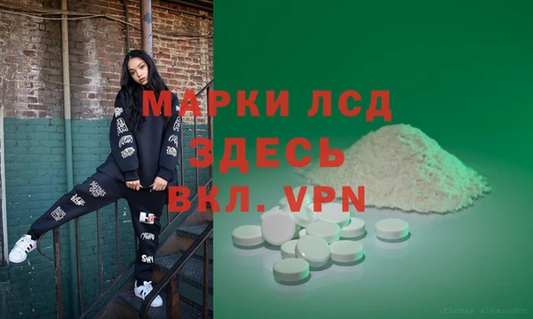 гидра Вязьма