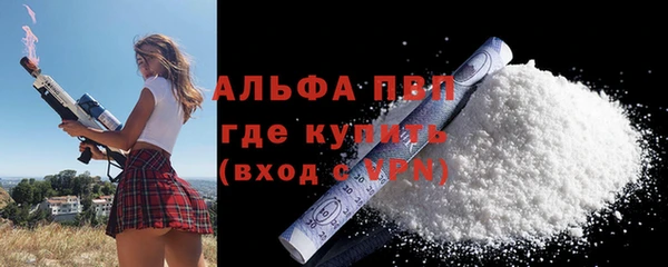 гидра Вязьма