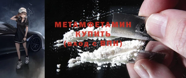 гидра Вязьма