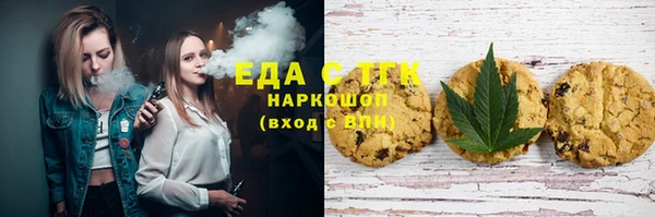 гидра Вязьма